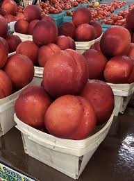 Nectarine Quarts