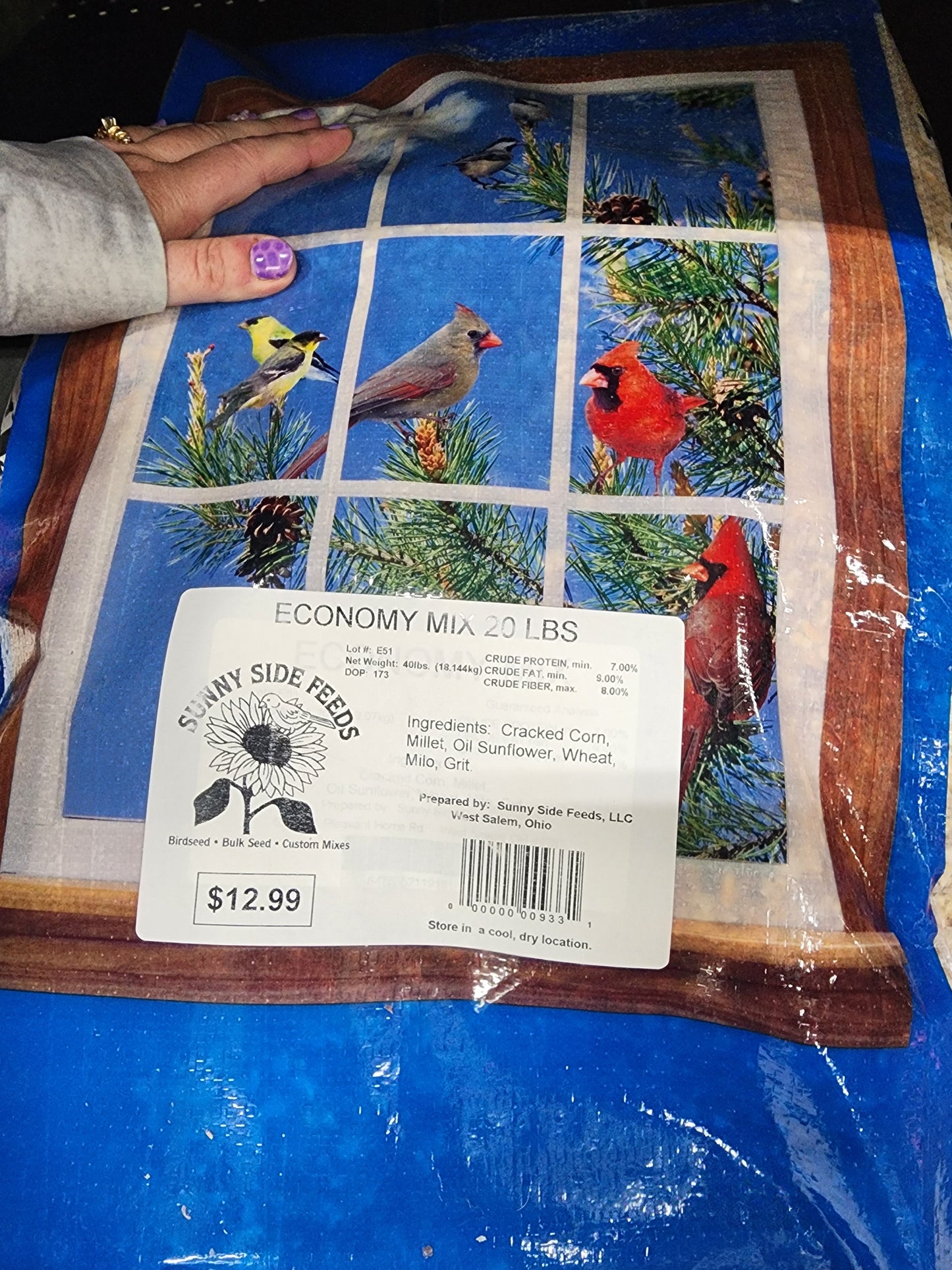 Economy Bird Seed 20 lb