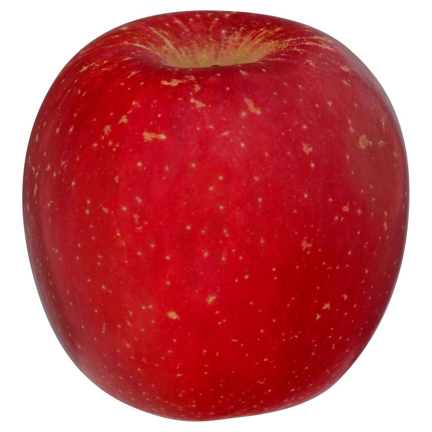 Fuji Apple