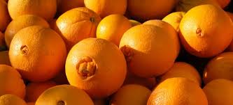 Navel Oranges 8 lb