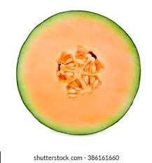 Cantaloupe Half