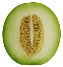 Honeydew Half