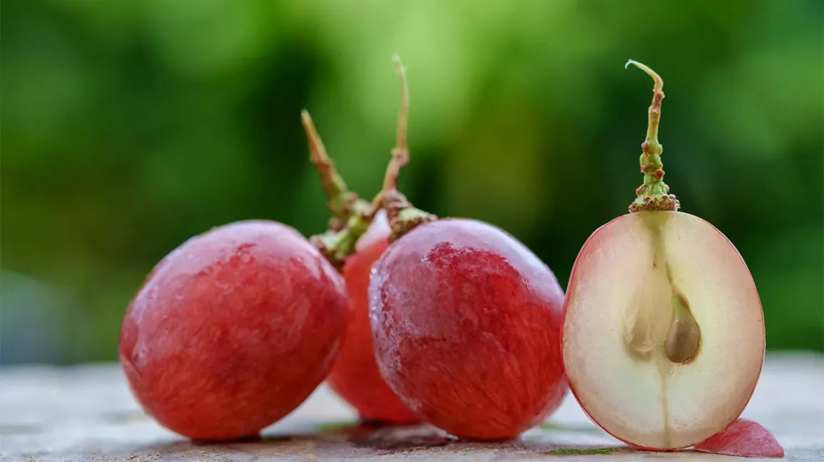 Red Seeded Grapes