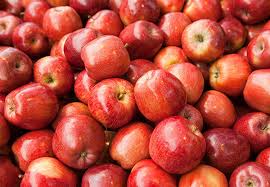 Bauman Gala Apples 3 lb
