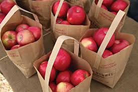 Apples Half Peck