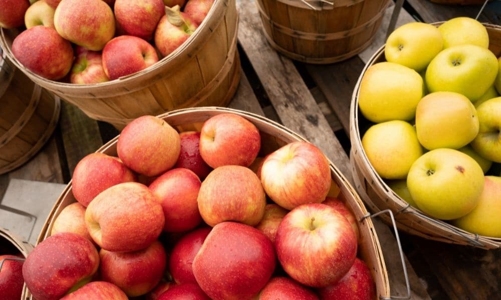 Apples Peck