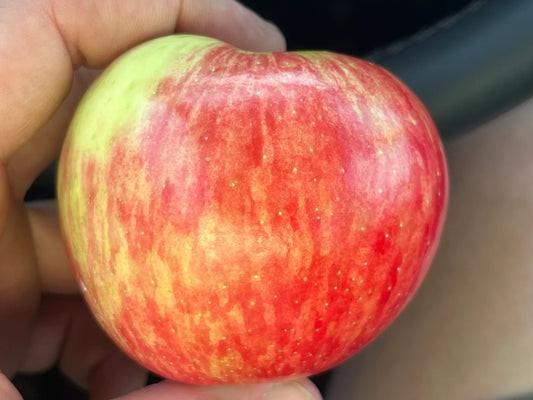 Honeycrisp Apples Half Peck