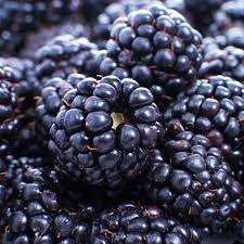 Blackberries