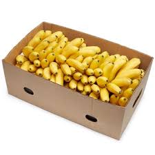 Banana Case 10 lb