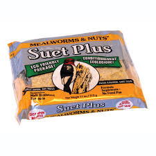 Suet Plus Mealworms