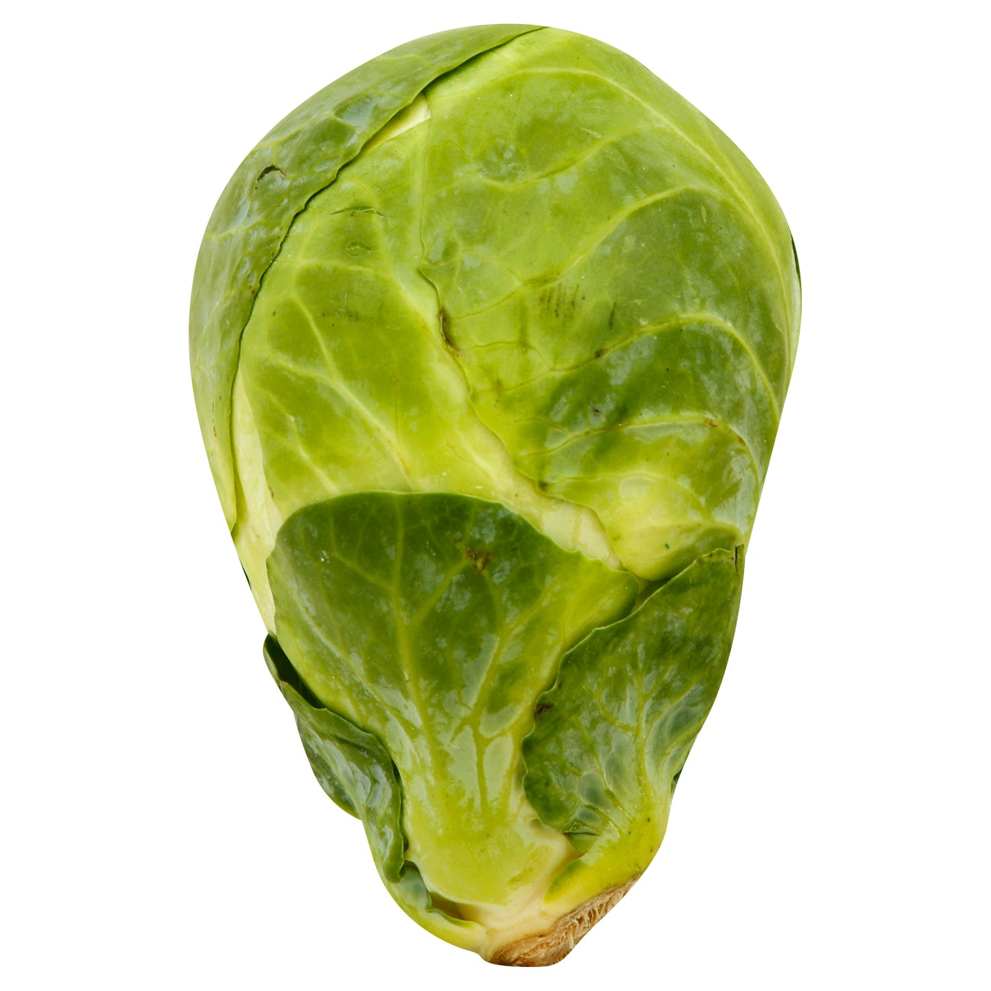 Brussel Sprouts - 1LB Bag