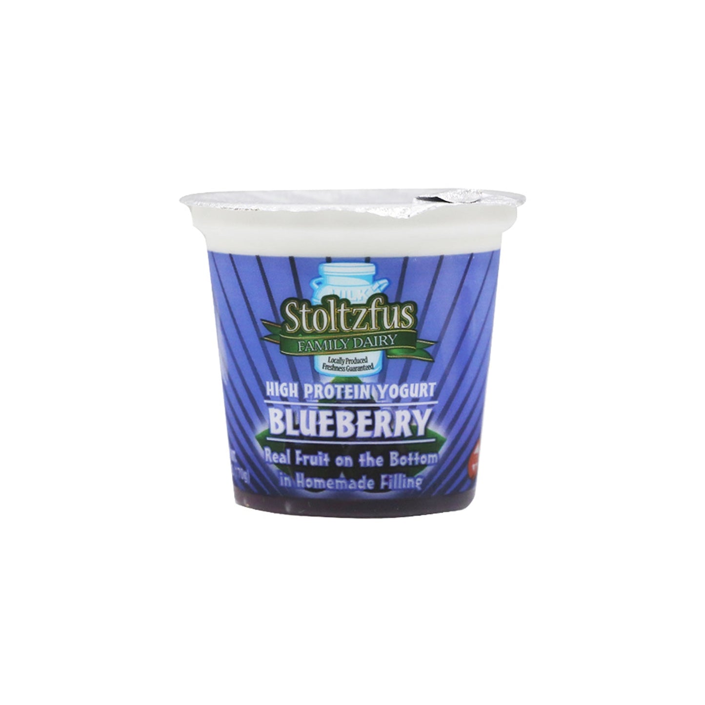 Stoltzfus Dairy Blueberry Yogurt