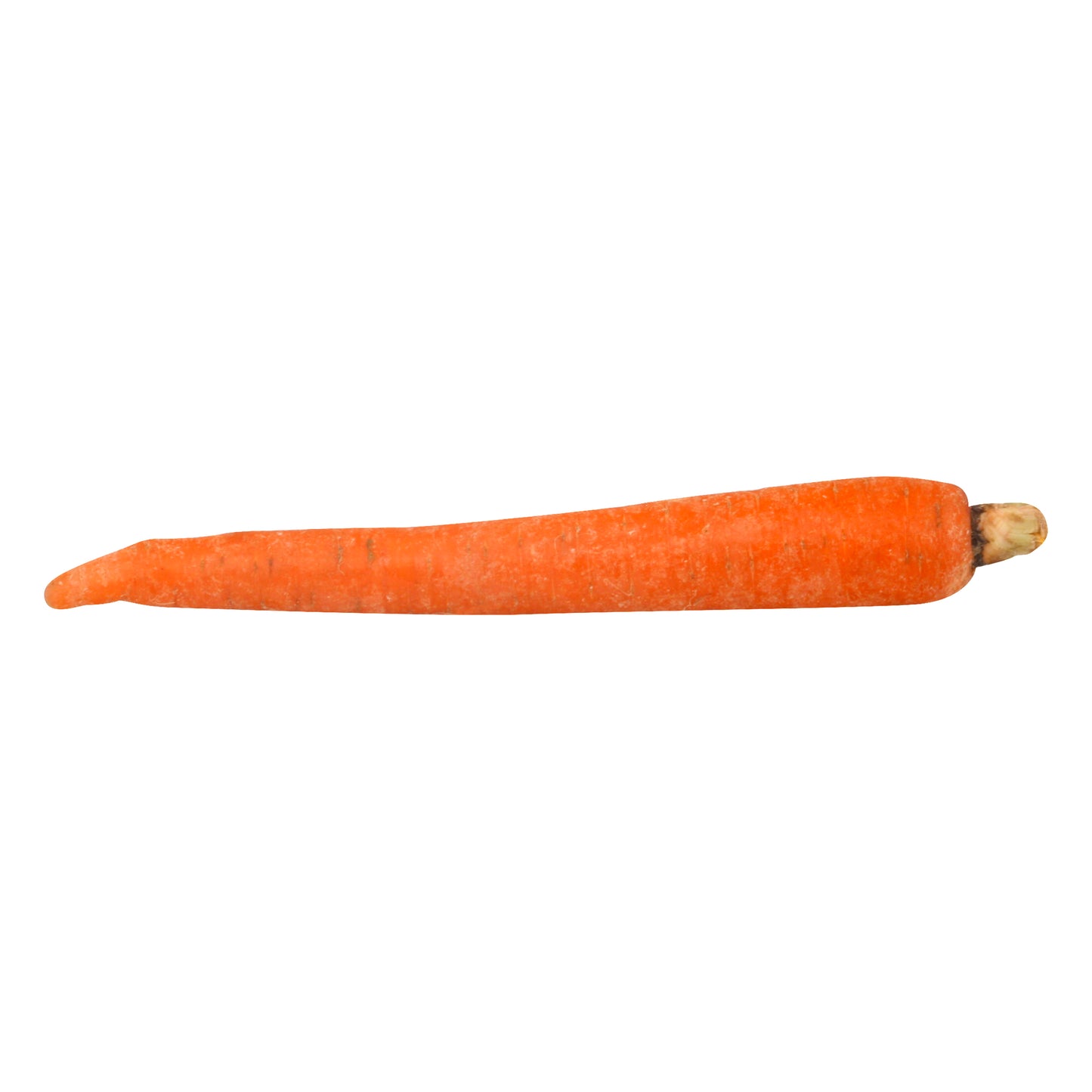 Carrot
