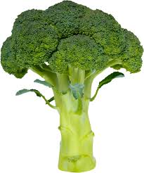 Broccoli