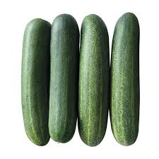 Cucumber