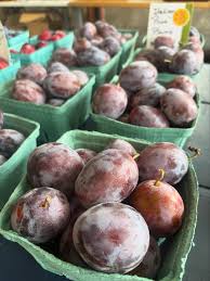 Plum - Quart