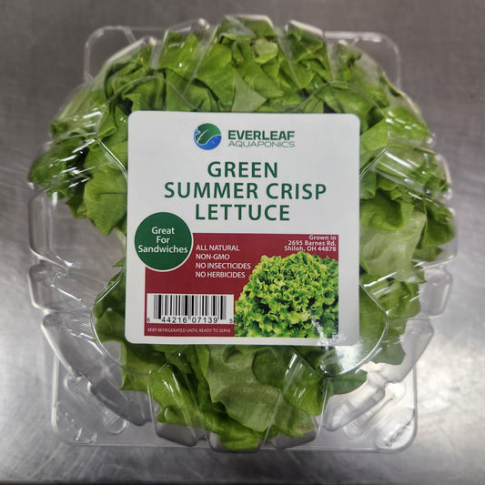 Everleaf Summer Crisp Lettuce